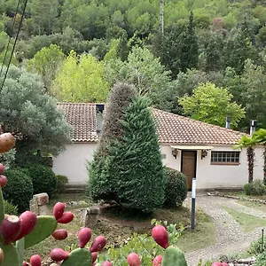La Vinya De Mas Pujol Súria